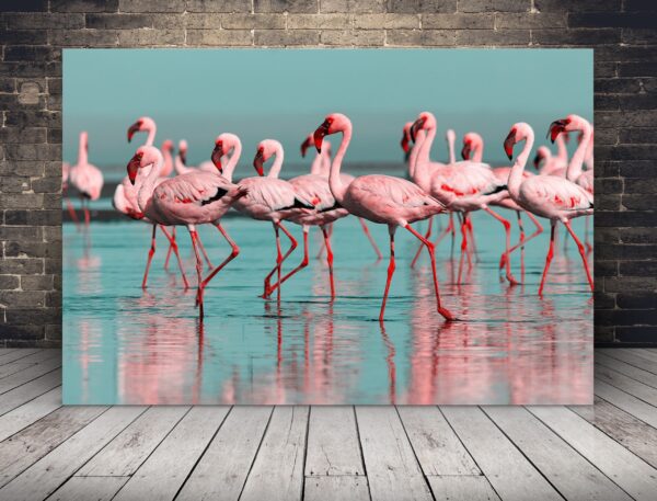 Obraz Flamingi w Wodzie