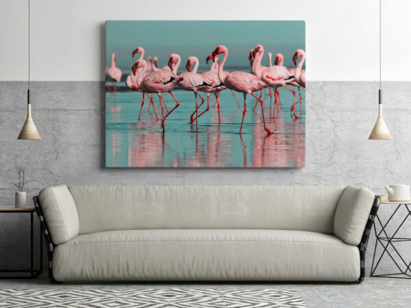 Obraz Flamingi w Wodzie