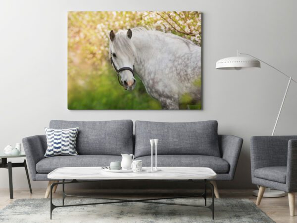 Obraz Portret Białego Konia
