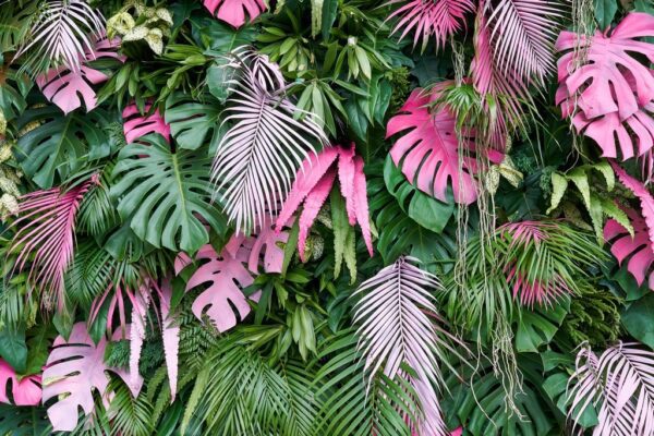 Fototapeta Tropikalne Kolorowe Liście