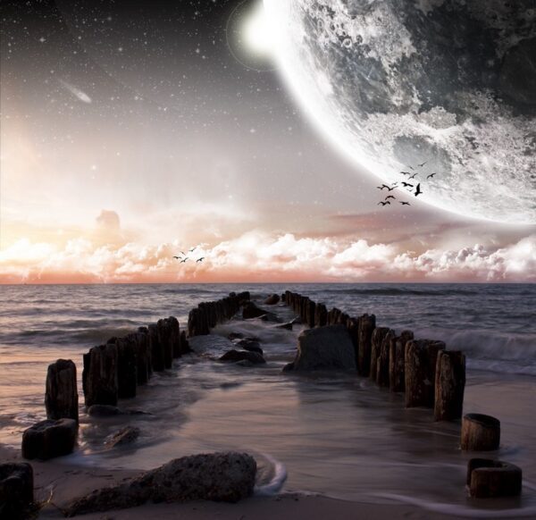 Fototapeta Plaża i Księżyc