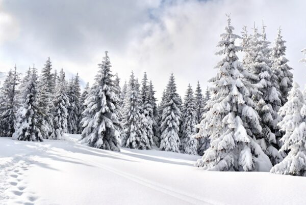 Fototapeta Zimowy Krajobraz