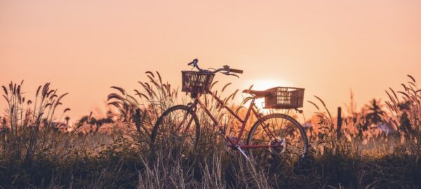Fototapeta Rower o Zachodzie Słońca