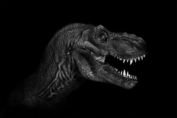 Fototapeta Tyranozaur Rex