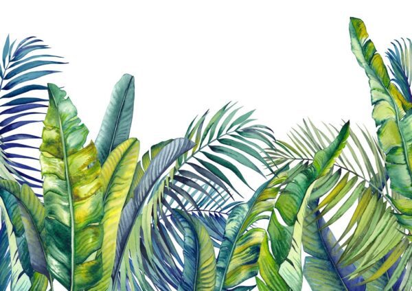 Fototapeta Ilustracja Tropikalnych Palm