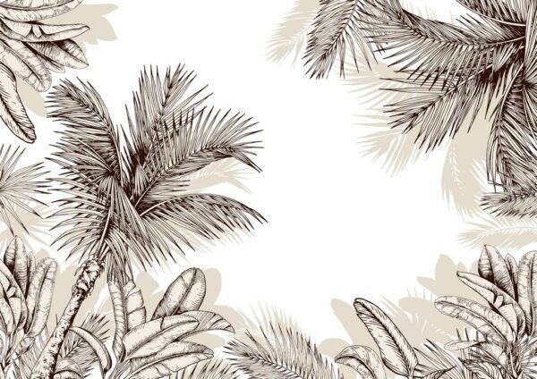 Fototapeta Liście Tropikalnych Palm