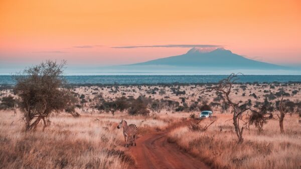 Fototapeta Zachód Nad Kilimandżaro