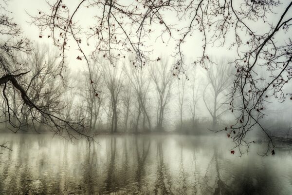 Fototapeta Zimowa Mgła