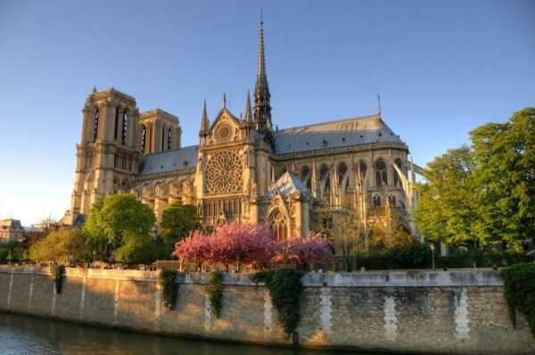 Fototapeta Katedra Notre Dame
