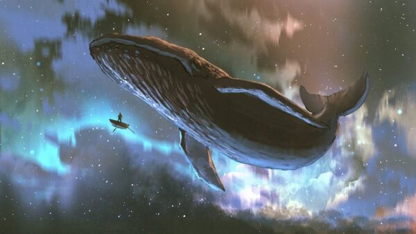 Obraz Latający Wieloryb