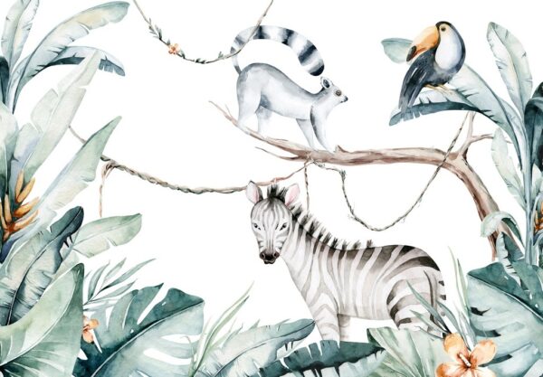Fototapeta Zwierzęta z Madagaskaru
