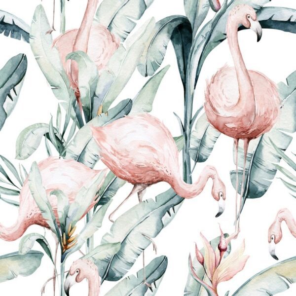 Fototapeta Tropikalne Flamingi