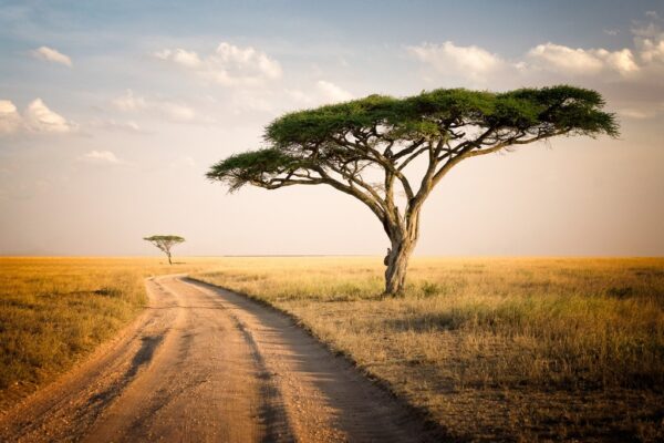 Fototapeta Krajobraz Afryki