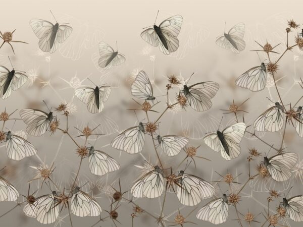Fototapeta Małe Białe Motyle