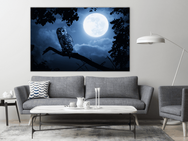Obraz Sowa i Księżyc