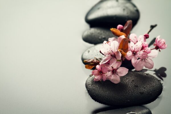 Fototapeta Relaksujące Kwiaty Wiśni