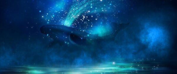 Fototapeta Wieloryb i Gwiazdy