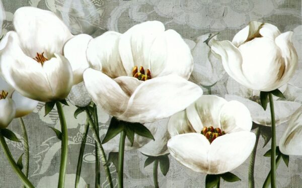 Fototapeta Rozkwitające Białe Kwiaty