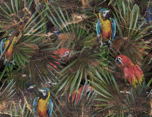 Fototapeta Papugi w Liściach