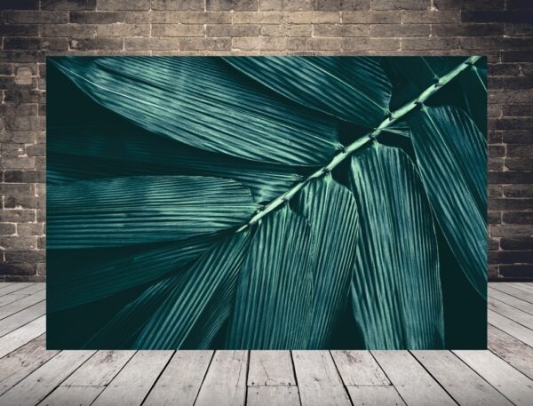 Obraz Bambusowy Liść