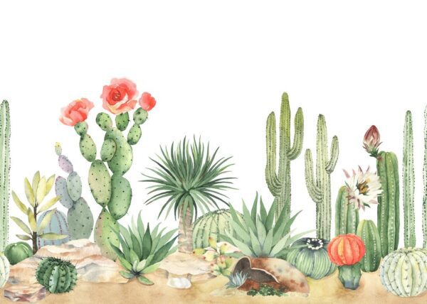 Fototapeta Kaktusy na Pustyni
