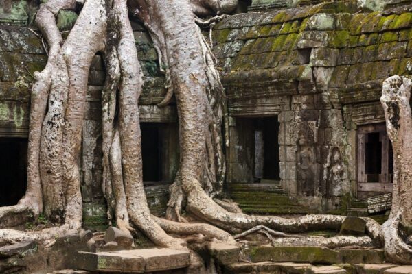Obraz Świątynia w Angkor