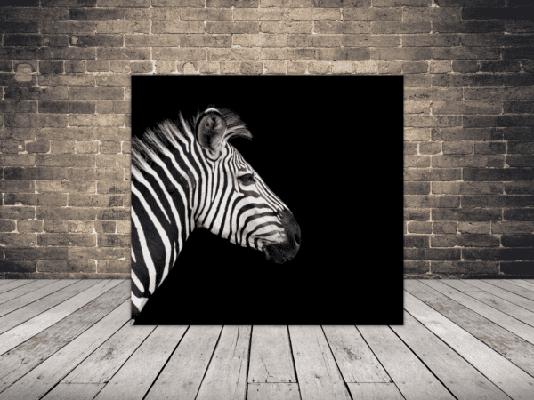 Obraz Wychylająca się Zebra