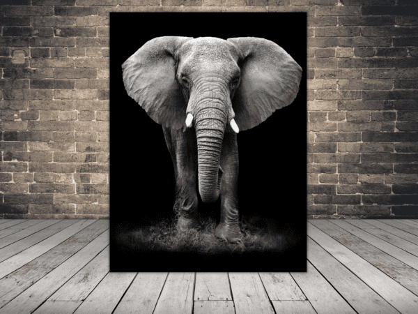 Obraz Portret Słonia