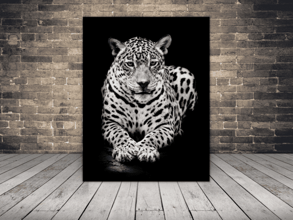 Obraz Leżący Gepard