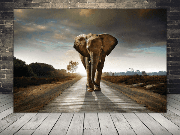 Obraz Słoń na Drodze