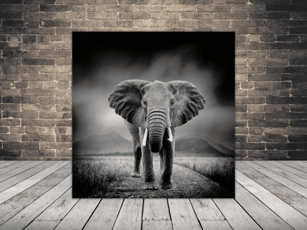 Obraz Portret Słonia