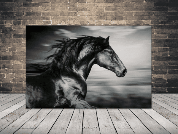 Obraz Czarny Koń