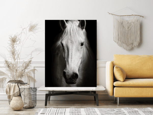 Obraz Biały Koń