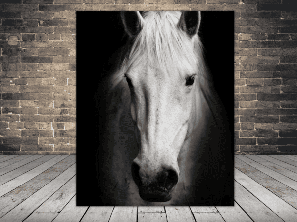 Obraz Biały Koń