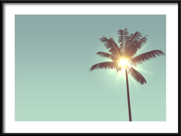 Plakat Słońce w Palmie