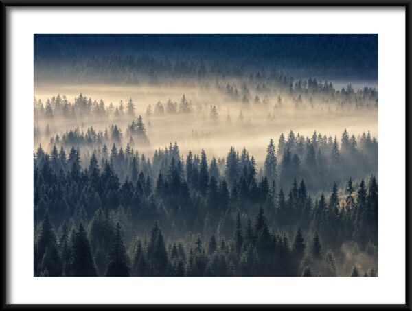 Plakat Leśna Mgła