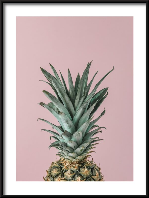 Plakat Kwiat Ananasa