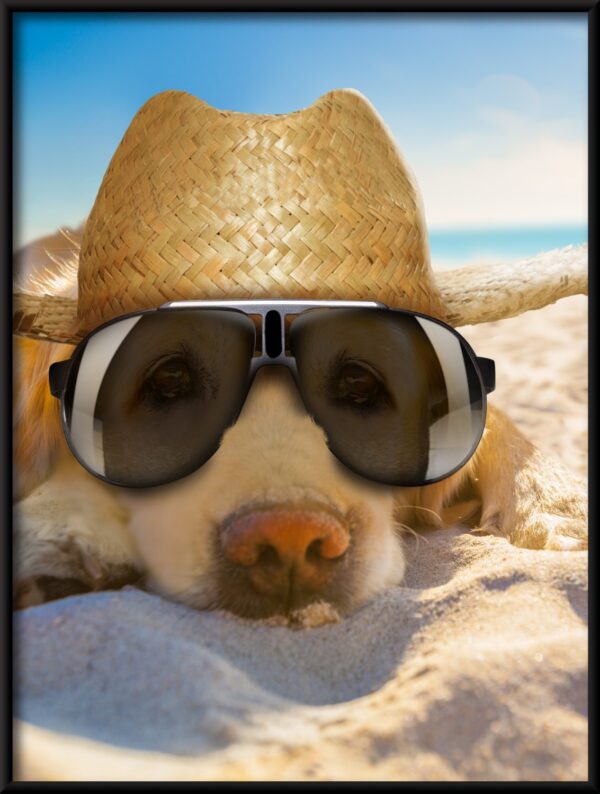Plakat Pies Na Plaży