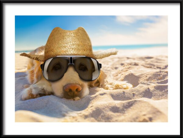 Plakat Pies Na Plaży