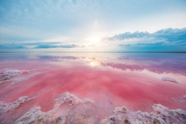 Fototapeta Różowe Jezioro