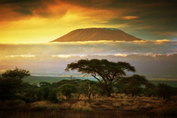 Fototapeta Góra Kilimandżaro