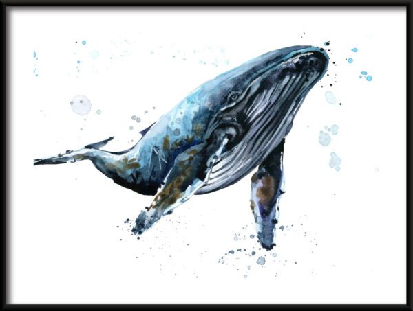 Plakat Morskie Zwierzę