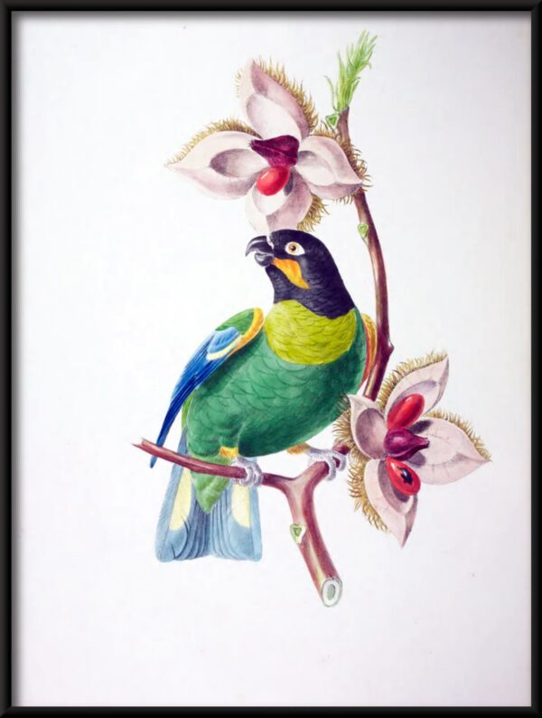 Plakat Kolorowy Ptak