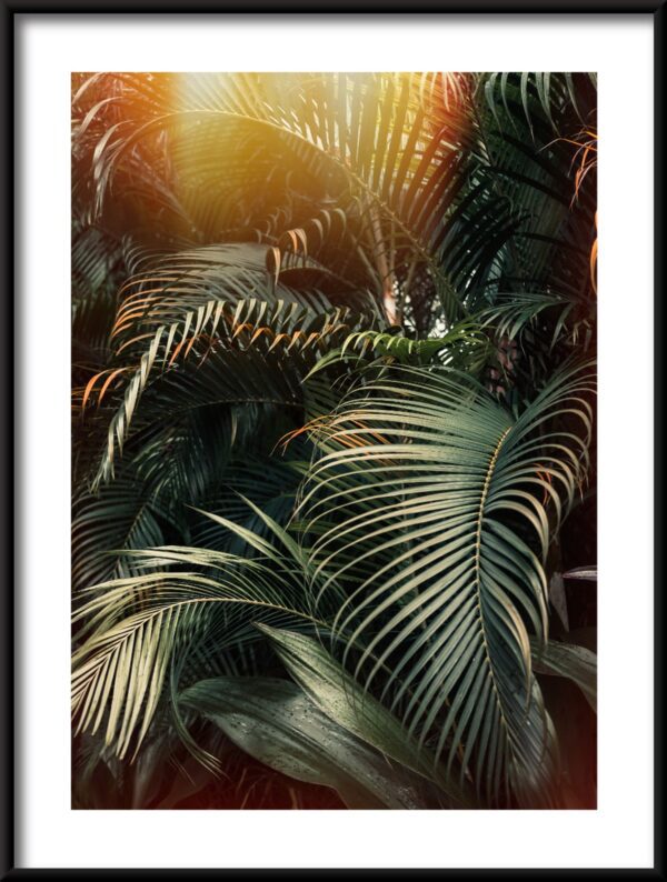 Plakat Światło Palm
