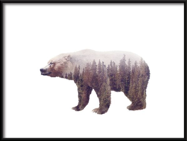 Plakat Dziki Niedźwiedź