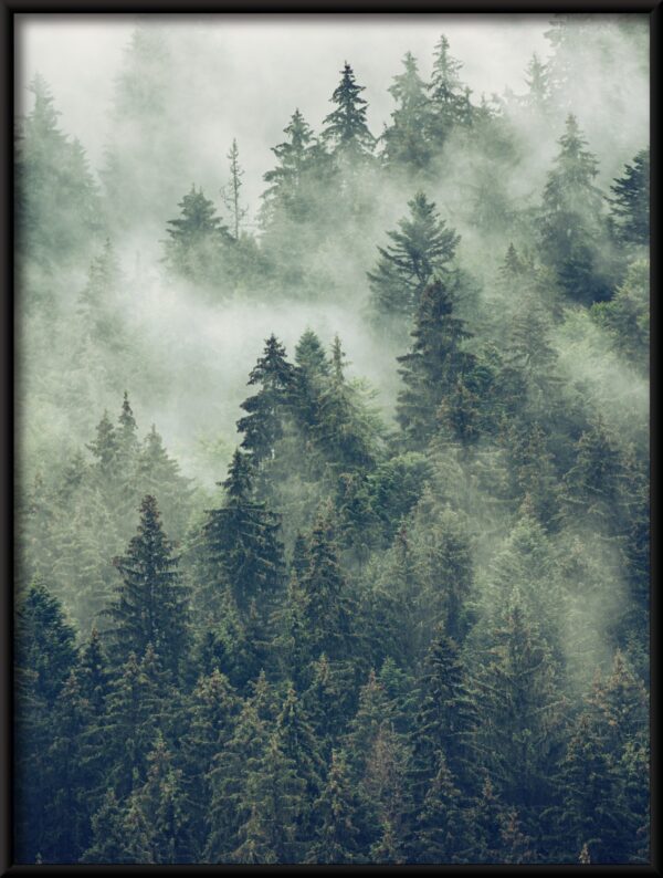 Plakat Mgła Wśród Drzew