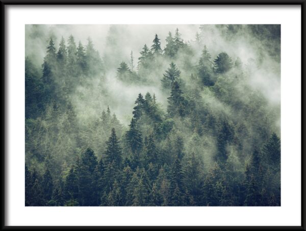Plakat Mgła Wśród Drzew