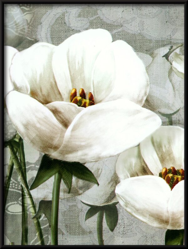 Plakat Białe Tulipany