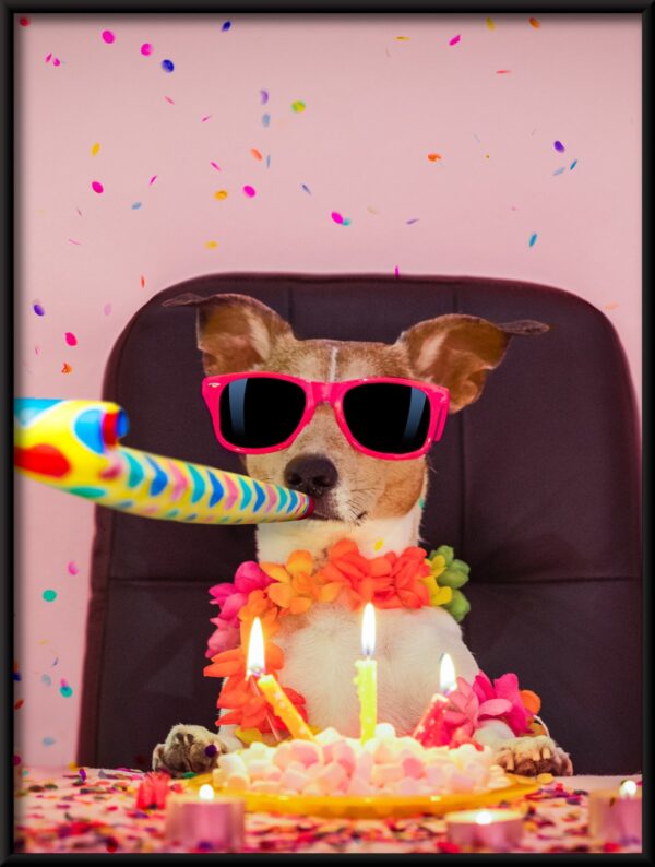 Plakat Urodziny Psa