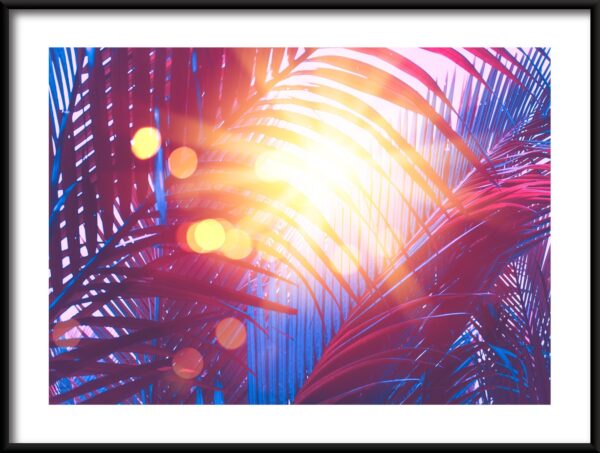 Plakat Słoneczne Palmy